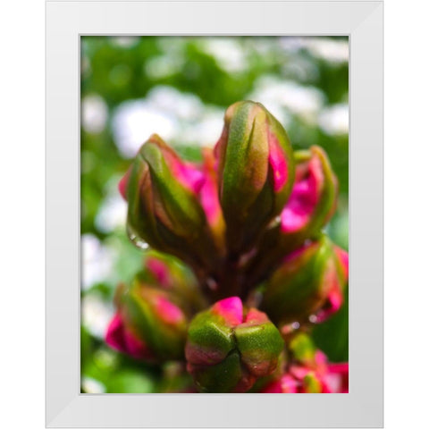 Flower Knot I White Modern Wood Framed Art Print by Grayscale