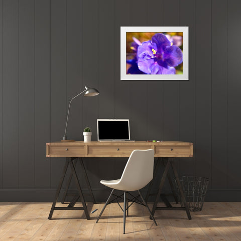 Purple Bloom I White Modern Wood Framed Art Print by Grayscale