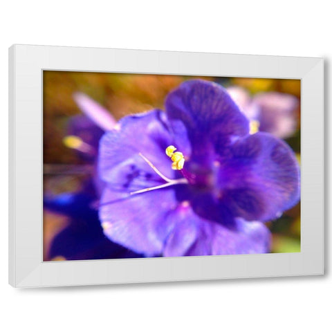 Purple Bloom I White Modern Wood Framed Art Print by Grayscale