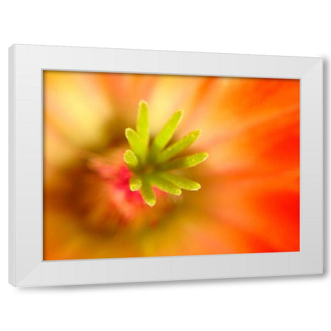 Central Fingers II White Modern Wood Framed Art Print by Grayscale