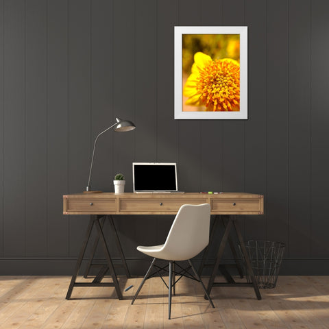 Yellow Cluster I White Modern Wood Framed Art Print by Grayscale