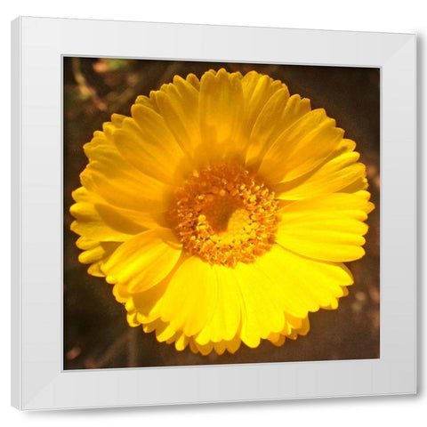 Yellow Cluster II White Modern Wood Framed Art Print by Grayscale
