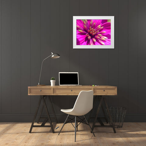 Pink Cluster IV White Modern Wood Framed Art Print by Grayscale