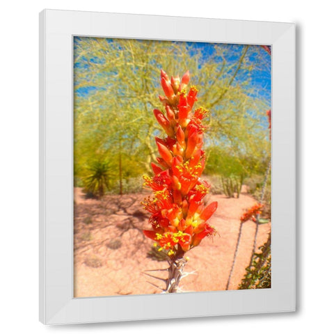 Cactus Blooms I White Modern Wood Framed Art Print by Grayscale