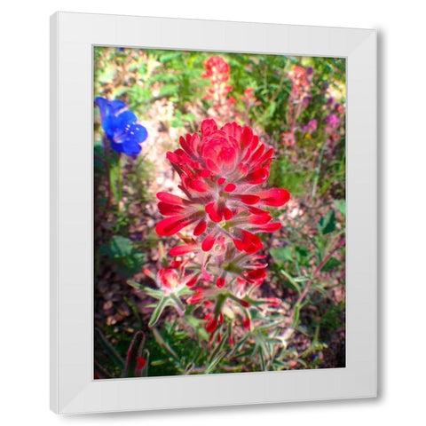 Wildflower Field II White Modern Wood Framed Art Print by Grayscale
