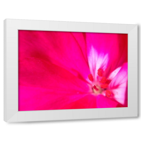 Natural Reactor III White Modern Wood Framed Art Print by Grayscale