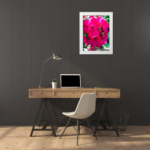 Red Begonias I White Modern Wood Framed Art Print by Grayscale