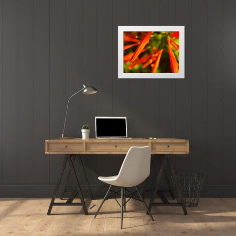 Orange Spikes I White Modern Wood Framed Art Print by Grayscale