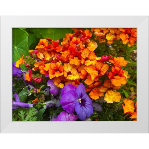 Orange and Purple Blooms I White Modern Wood Framed Art Print by Grayscale