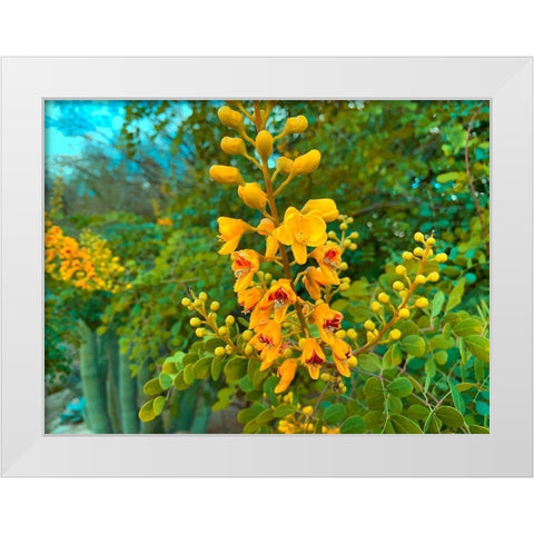 Yellow Blooms I White Modern Wood Framed Art Print by Grayscale