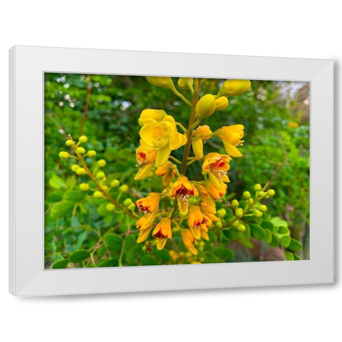 Yellow Blooms III White Modern Wood Framed Art Print by Grayscale