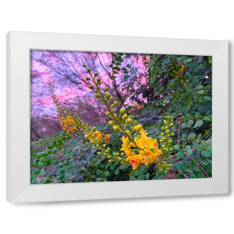 Yellow Blooms IV White Modern Wood Framed Art Print by Grayscale