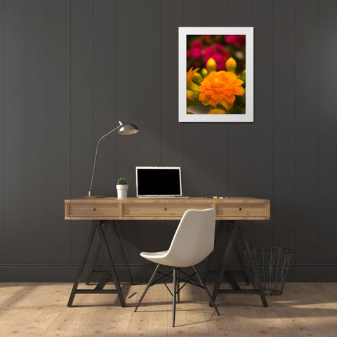 Yellow Blooms V White Modern Wood Framed Art Print by Grayscale