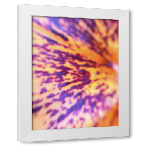 Lava Leaf I White Modern Wood Framed Art Print by Grayscale