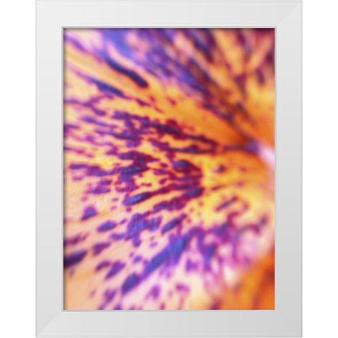 Lava Leaf I White Modern Wood Framed Art Print by Grayscale