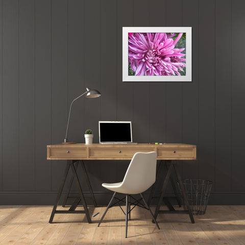 Pink Flowers I White Modern Wood Framed Art Print by Grayscale