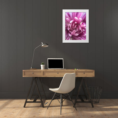 Pink Flower I White Modern Wood Framed Art Print by Grayscale
