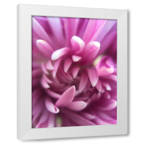 Pink Flower I White Modern Wood Framed Art Print by Grayscale