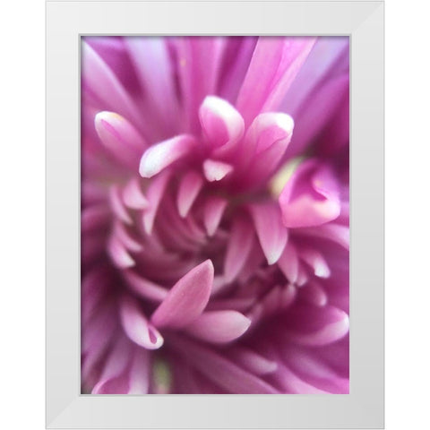 Pink Flower I White Modern Wood Framed Art Print by Grayscale