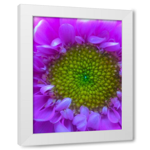 Flower Center I White Modern Wood Framed Art Print by Grayscale
