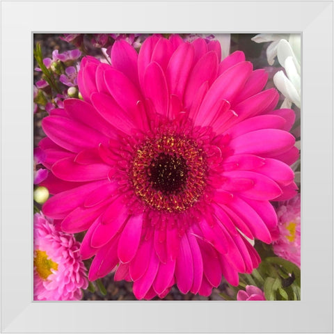 Flower Center III White Modern Wood Framed Art Print by Grayscale