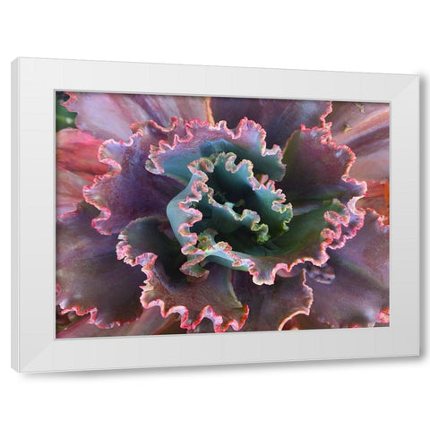 Ribbons II White Modern Wood Framed Art Print by Grayscale