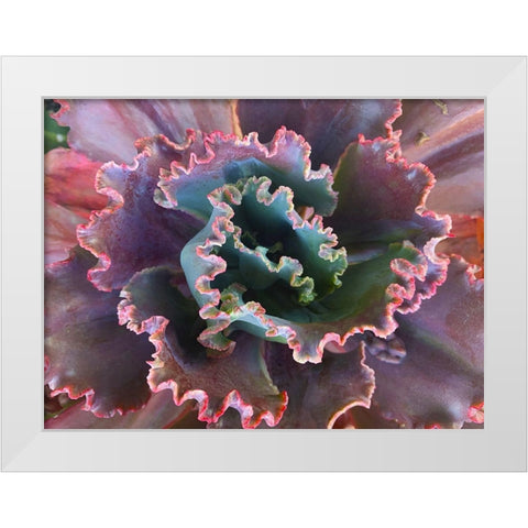 Ribbons II White Modern Wood Framed Art Print by Grayscale