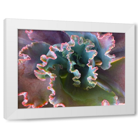 Ribbons III White Modern Wood Framed Art Print by Grayscale