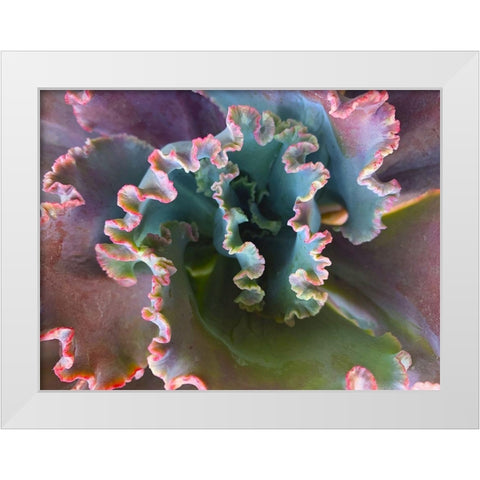 Ribbons III White Modern Wood Framed Art Print by Grayscale