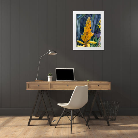 Aloe Blooms II White Modern Wood Framed Art Print by Grayscale