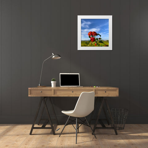 Lantana X White Modern Wood Framed Art Print by Grayscale