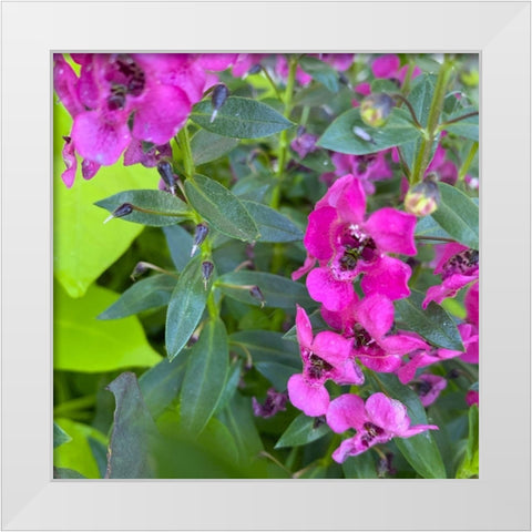 Flower Stacks I White Modern Wood Framed Art Print by Grayscale