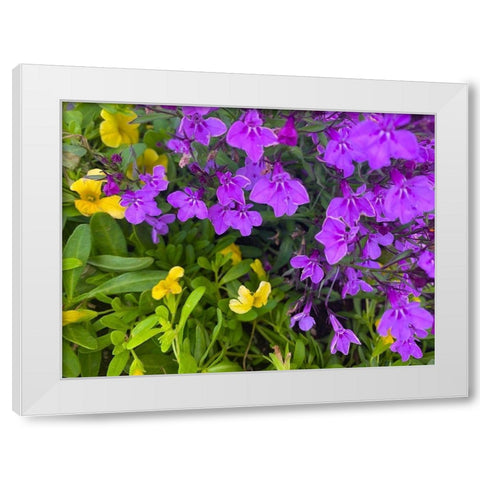 Flower Spot III White Modern Wood Framed Art Print by Grayscale