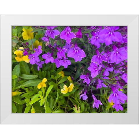 Flower Spot III White Modern Wood Framed Art Print by Grayscale