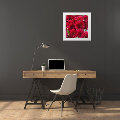 Red Blooms I White Modern Wood Framed Art Print by Grayscale