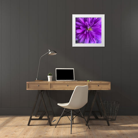 Purple Bloom V White Modern Wood Framed Art Print by Grayscale