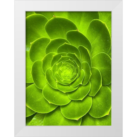 Green Bloom I White Modern Wood Framed Art Print by Grayscale