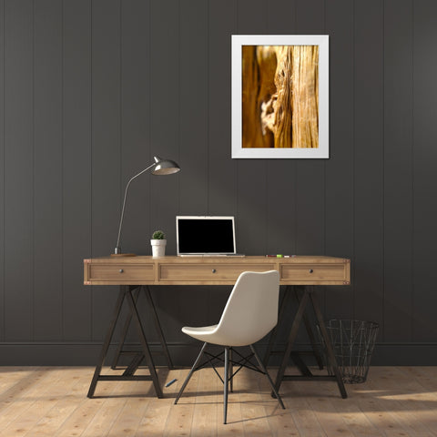 Wood Fiber I White Modern Wood Framed Art Print by Grayscale