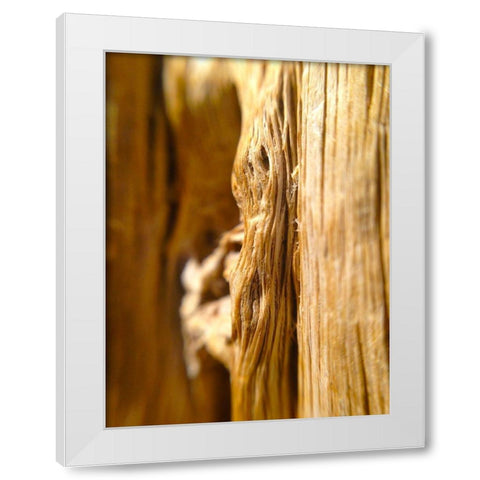 Wood Fiber I White Modern Wood Framed Art Print by Grayscale
