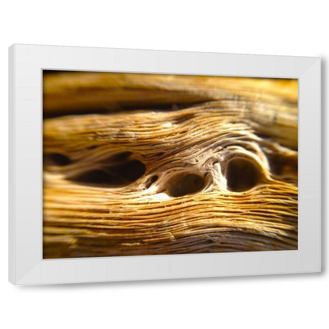 Wood Fiber II White Modern Wood Framed Art Print by Grayscale