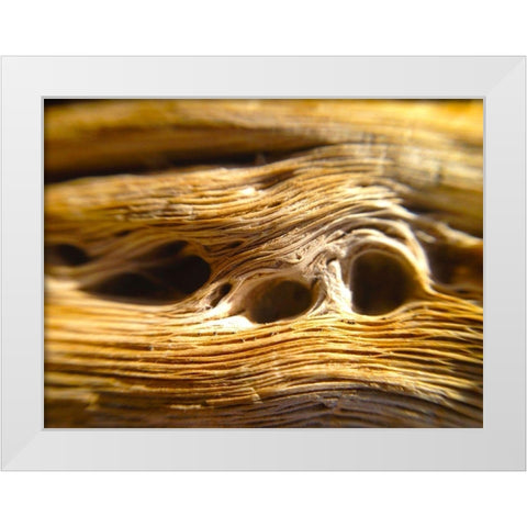 Wood Fiber II White Modern Wood Framed Art Print by Grayscale