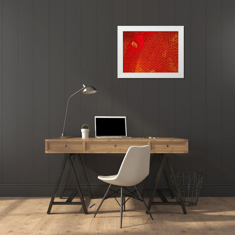 Canvas Closeup III White Modern Wood Framed Art Print by Grayscale