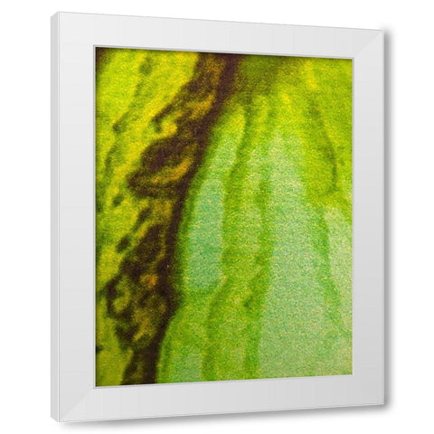 Canvas Closeup V White Modern Wood Framed Art Print by Grayscale