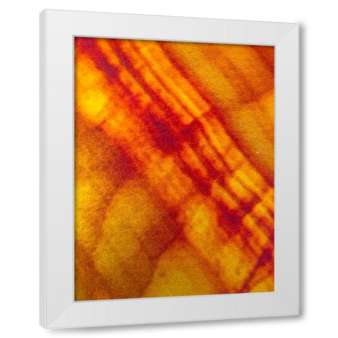 Canvas Closeup VI White Modern Wood Framed Art Print by Grayscale