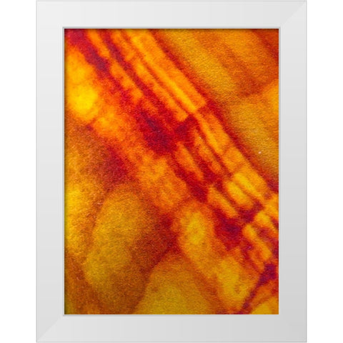 Canvas Closeup VI White Modern Wood Framed Art Print by Grayscale