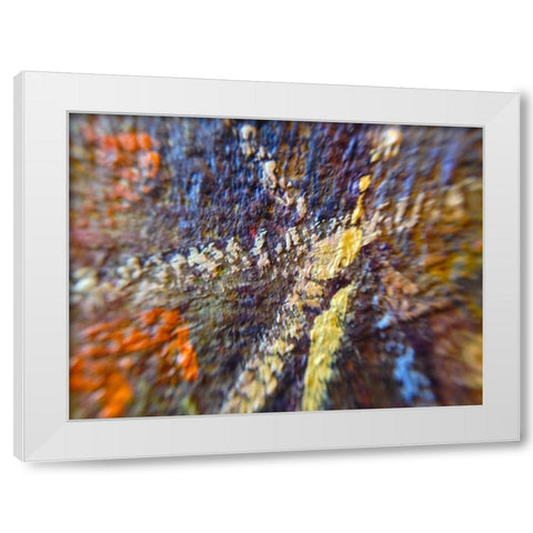 Paint Closeup IX White Modern Wood Framed Art Print by Grayscale