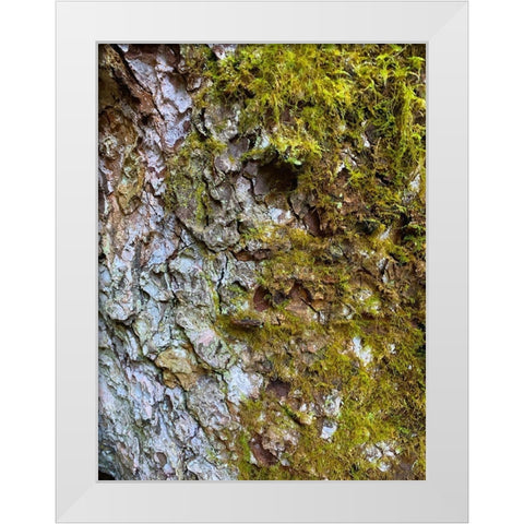 Bark and Moss I White Modern Wood Framed Art Print by Grayscale