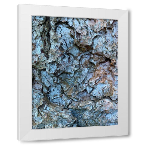Bark Scales I White Modern Wood Framed Art Print by Grayscale