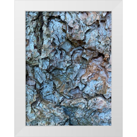 Bark Scales I White Modern Wood Framed Art Print by Grayscale