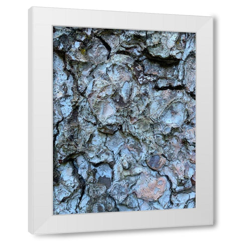 Bark Scales II White Modern Wood Framed Art Print by Grayscale